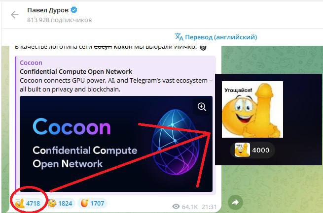 Изображение поста