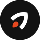 Изображение канала: "Ракета" | студия дизайна