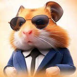 Изображение канала: Хамстер Комбат - Комбо & Шифры