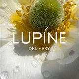 Изображение канала: Lupine