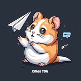 Изображение канала: Homa TON
