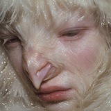 Изображение канала: Neuro Chicken
