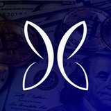 Изображение канала: Butterfly Capital News