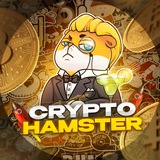 Изображение канала: CryptoHamster🐹 - news & drops