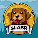 Изображение канала: Labrador $LABR