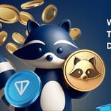 Изображение канала: Tap Raccoon Coin News