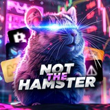 Изображение канала: Not The Hamster 🐹