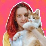 Изображение канала: 🐈Покусаева про дизайн