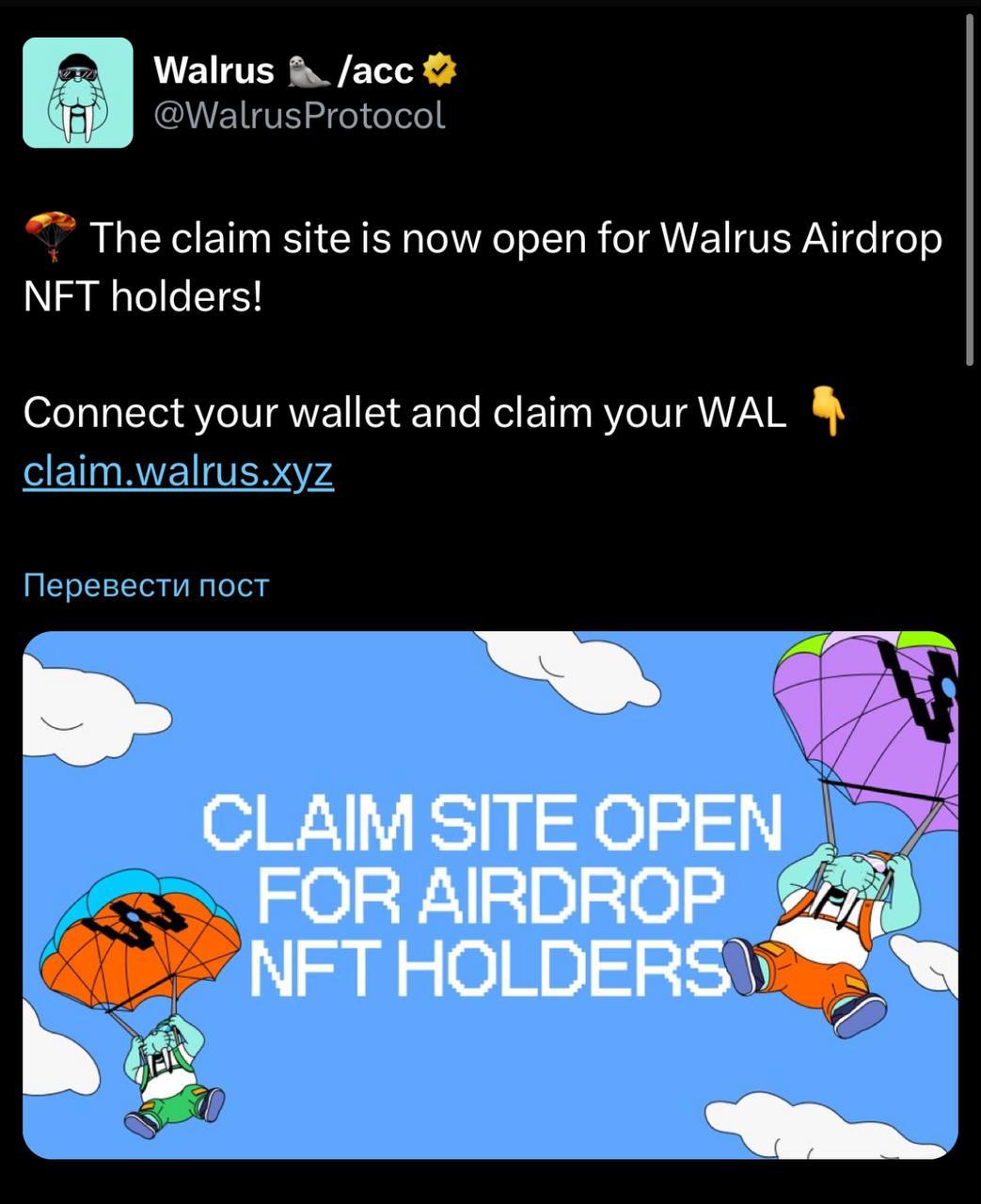 Изображение поста