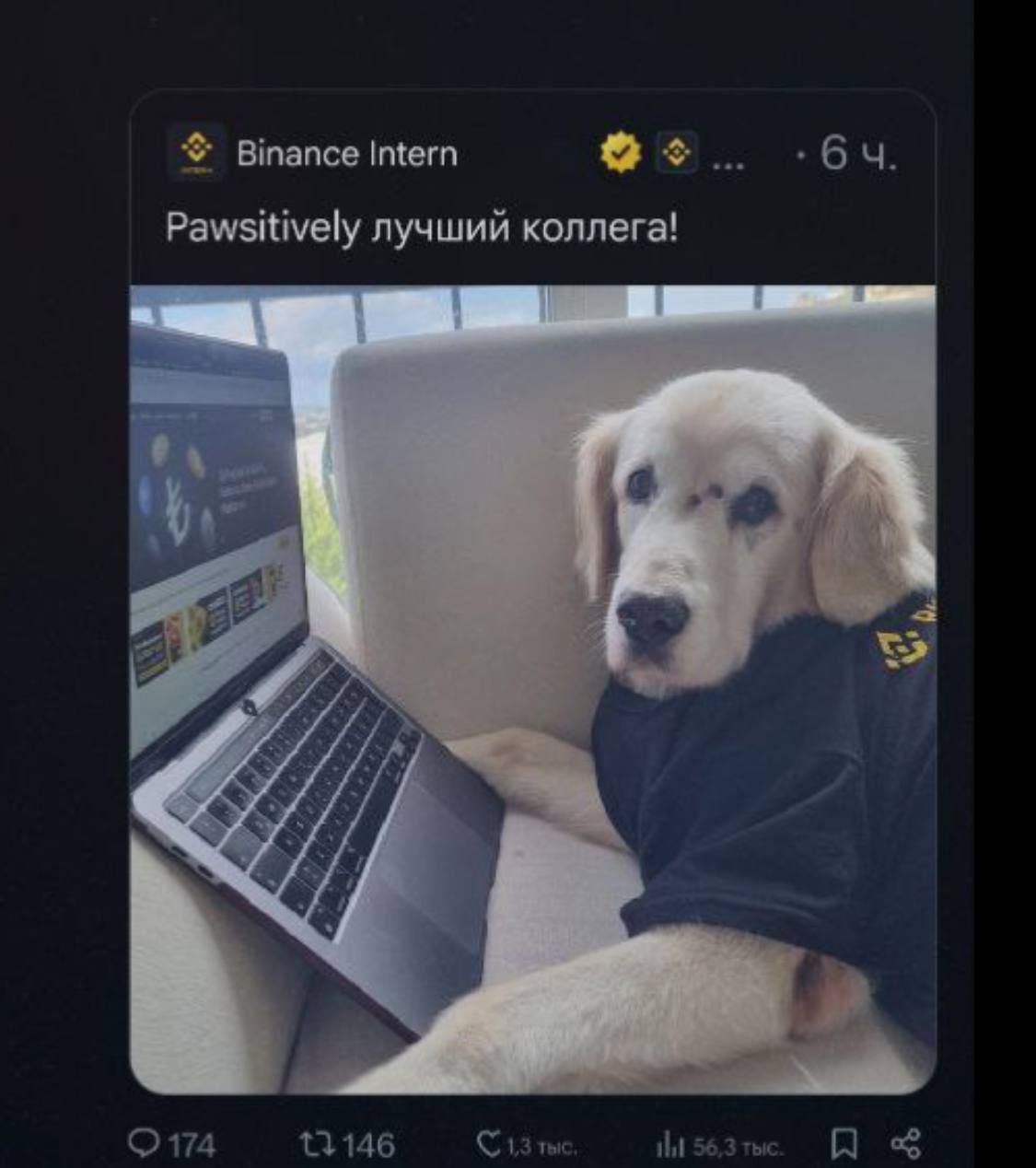 Изображение поста