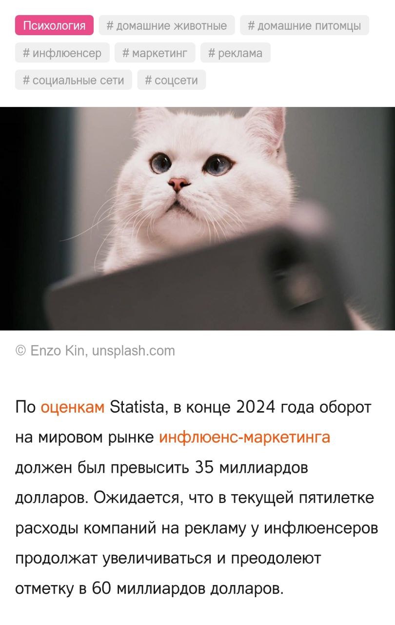 Изображение поста